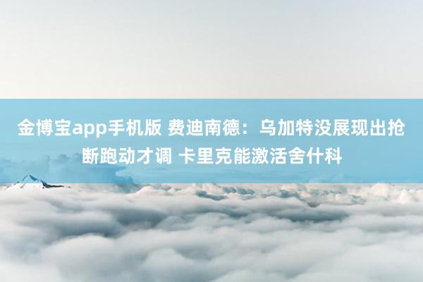 金博宝app手机版 费迪南德：乌加特没展现出抢断跑动才调 卡里克能激活舍什科