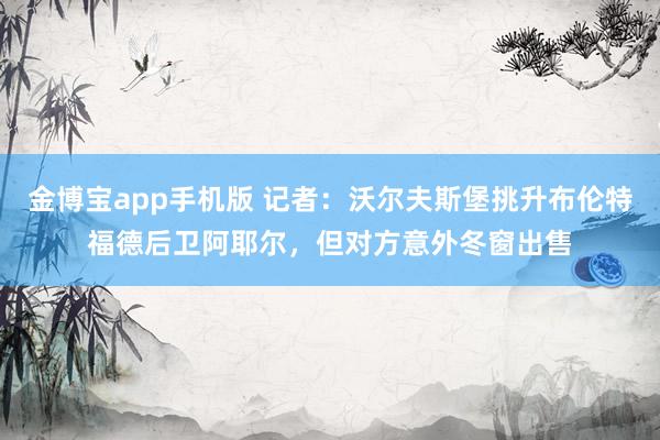 金博宝app手机版 记者：沃尔夫斯堡挑升布伦特福德后卫阿耶尔，但对方意外冬窗出售