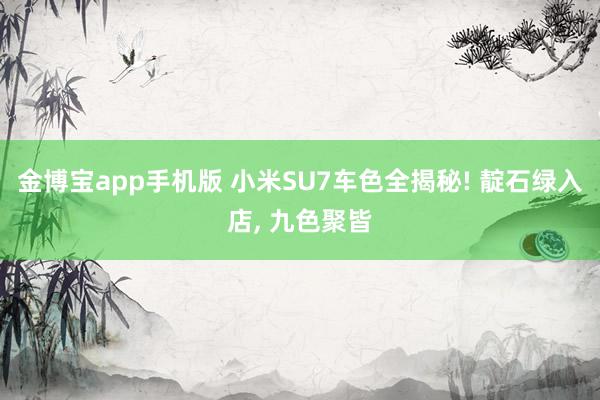 金博宝app手机版 小米SU7车色全揭秘! 靛石绿入店， 九色聚皆
