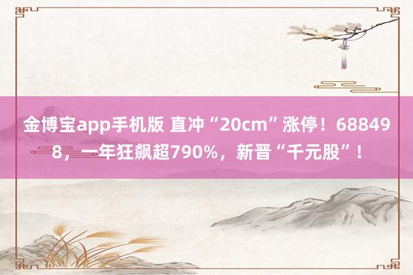 金博宝app手机版 直冲“20cm”涨停！688498，一年狂飙超790%，新晋“千元股”！