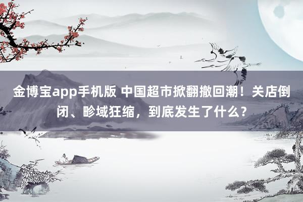 金博宝app手机版 中国超市掀翻撤回潮！关店倒闭、畛域狂缩，到底发生了什么？
