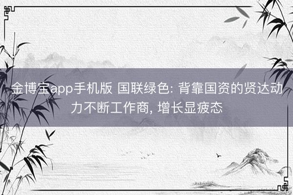金博宝app手机版 国联绿色: 背靠国资的贤达动力不断工作商， 增长显疲态
