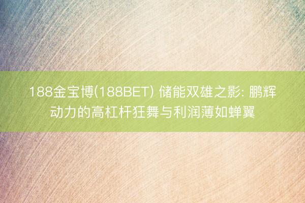 188金宝博(188BET) 储能双雄之影: 鹏辉动力的高杠杆狂舞与利润薄如蝉翼