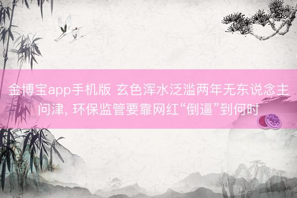 金博宝app手机版 玄色浑水泛滥两年无东说念主问津， 环保监管要靠网红“倒逼”到何时