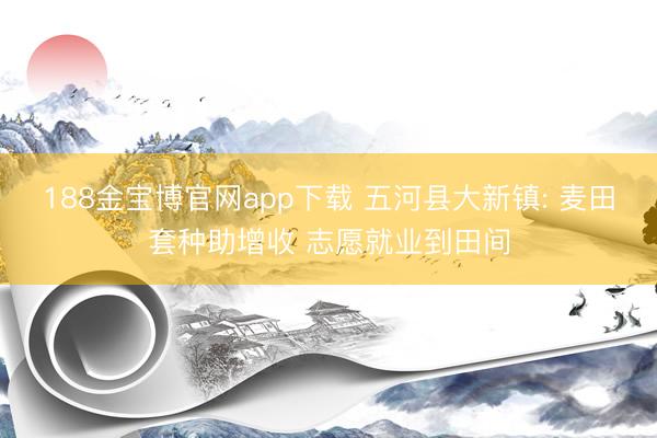 188金宝博官网app下载 五河县大新镇: 麦田套种助增收 志愿就业到田间