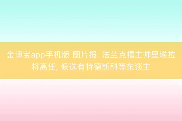 金博宝app手机版 图片报: 法兰克福主帅里埃拉将离任， 候选有特德斯科等东谈主