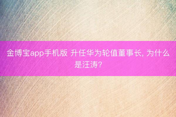 金博宝app手机版 升任华为轮值董事长， 为什么是汪涛?