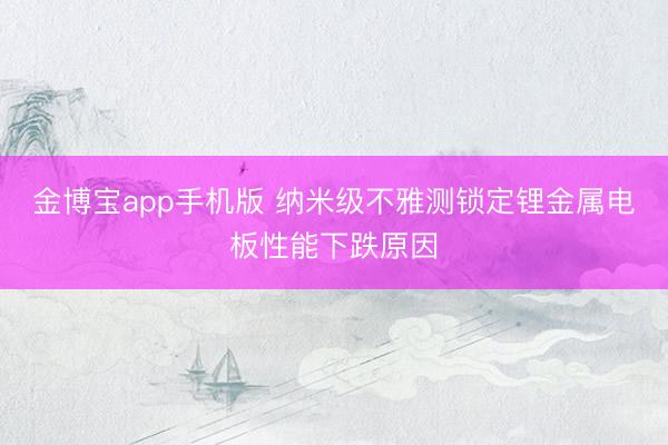 金博宝app手机版 纳米级不雅测锁定锂金属电板性能下跌原因