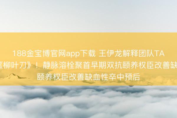 188金宝博官网app下载 王伊龙解释团队TAPIS究诘登顶《柳叶刀》！静脉溶栓聚首早期双抗颐养权臣改善缺血性卒中预后