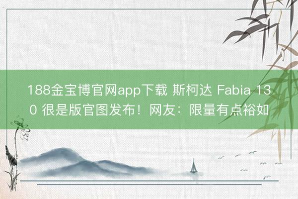 188金宝博官网app下载 斯柯达 Fabia 130 很是版官图发布！网友：限量有点裕如