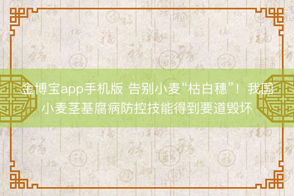 金博宝app手机版 告别小麦“枯白穗”！我国小麦茎基腐病防控技能得到要道毁坏