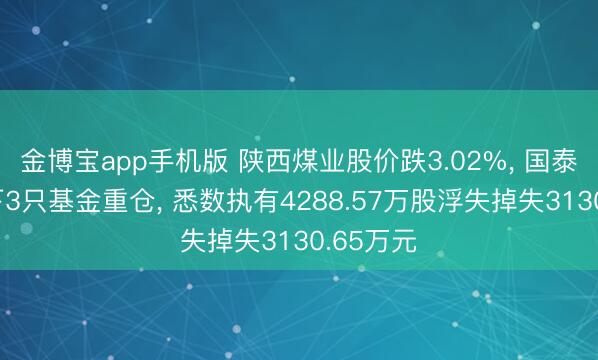 金博宝app手机版 陕西煤业股价跌3.02%， 国泰基金旗下3只基金重仓， 悉数执有4288.57万股浮失掉失3130.65万元