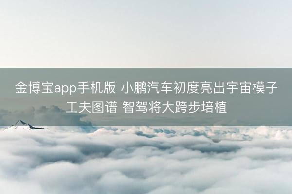 金博宝app手机版 小鹏汽车初度亮出宇宙模子工夫图谱 智驾将大跨步培植
