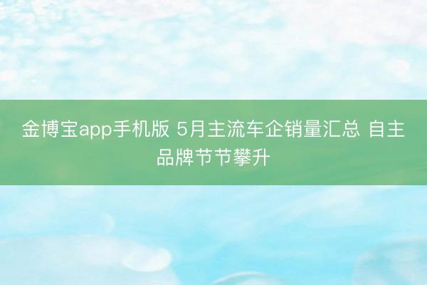 金博宝app手机版 5月主流车企销量汇总 自主品牌节节攀升