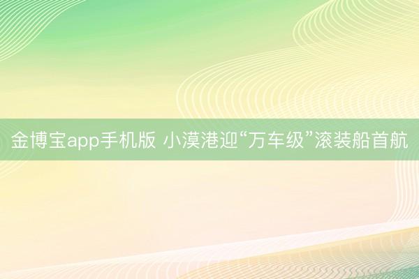 金博宝app手机版 小漠港迎“万车级”滚装船首航