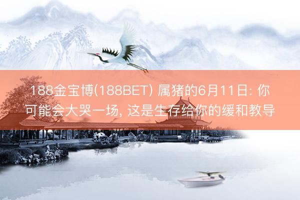 188金宝博(188BET) 属猪的6月11日: 你可能会大哭一场, 这是生存给你的缓和教导