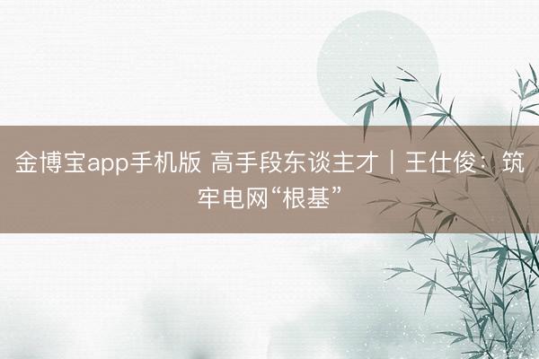 金博宝app手机版 高手段东谈主才|王仕俊:筑牢电网“根基”