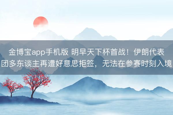 金博宝app手机版 明早天下杯首战！伊朗代表团多东谈主再遭好意思拒签，无法在参赛时刻入境